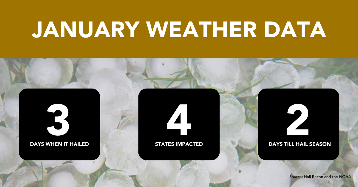 JANUARY WEATHER DATA