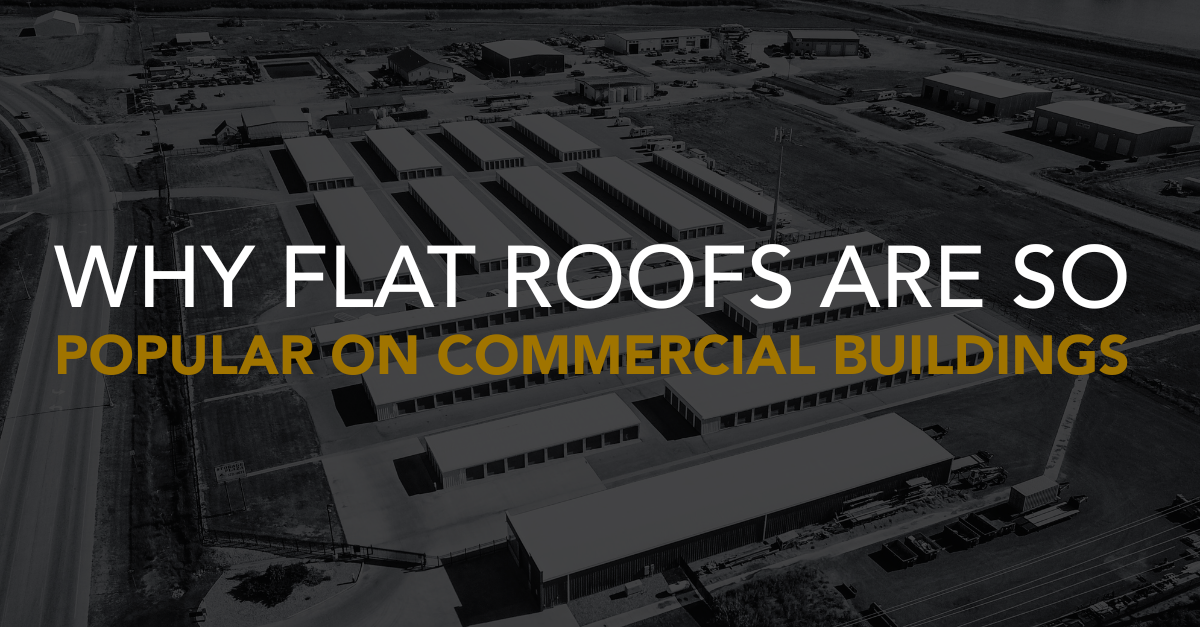 flat roof popularity