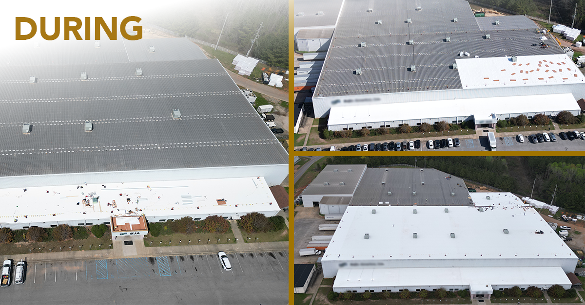 Alabama during roof replacement