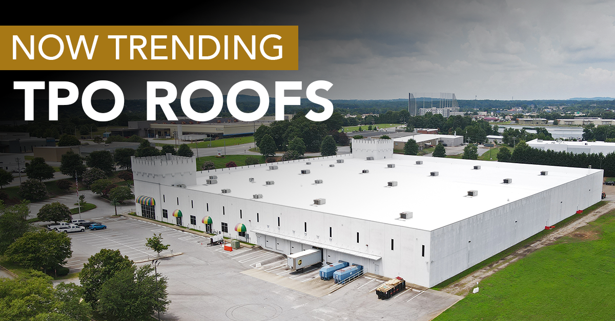 tpo roof popularity